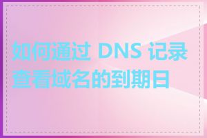 如何通过 DNS 记录查看域名的到期日期