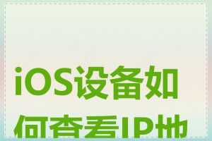 iOS设备如何查看IP地址