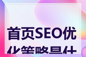 首页SEO优化策略是什么