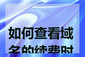 如何查看域名的续费时间