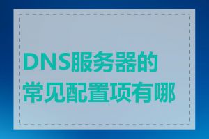 DNS服务器的常见配置项有哪些