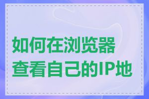 如何在浏览器查看自己的IP地址