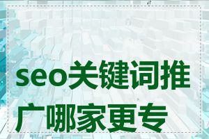 seo关键词推广哪家更专业