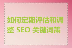 如何定期评估和调整 SEO 关键词策略