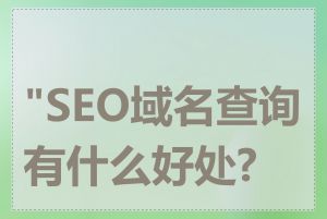 "SEO域名查询有什么好处?"