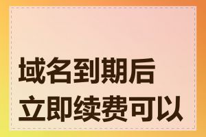域名到期后立即续费可以吗