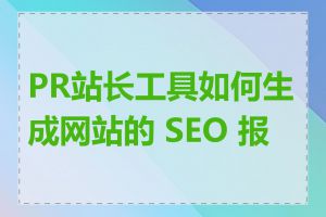 PR站长工具如何生成网站的 SEO 报告