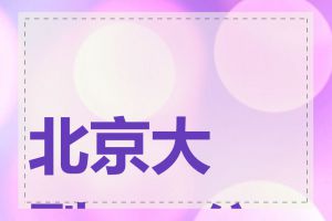 北京大型seo公司