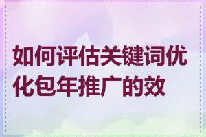 如何评估关键词优化包年推广的效果