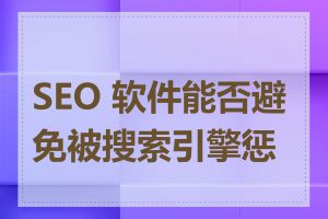 SEO 软件能否避免被搜索引擎惩罚