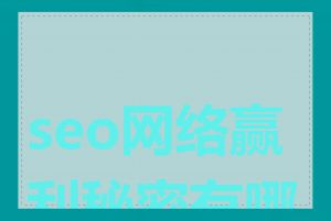 seo网络赢利秘密有哪些