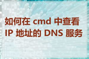 如何在 cmd 中查看 IP 地址的 DNS 服务器