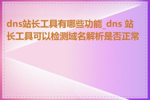 dns站长工具有哪些功能_dns 站长工具可以检测域名解析是否正常吗