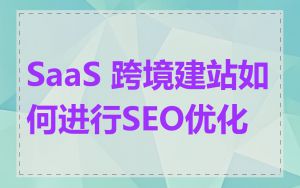 SaaS 跨境建站如何进行SEO优化
