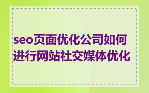 seo页面优化公司如何进行网站社交媒体优化
