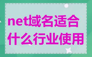 net域名适合什么行业使用