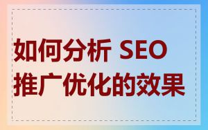 如何分析 SEO 推广优化的效果
