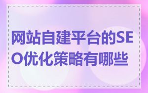 网站自建平台的SEO优化策略有哪些