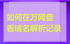 如何在万网查看域名解析记录
