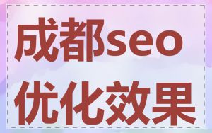 成都seo优化效果