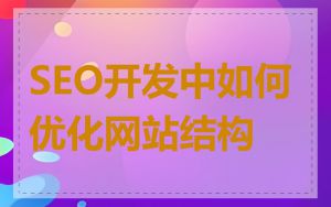 SEO开发中如何优化网站结构