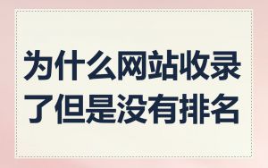 为什么网站收录了但是没有排名