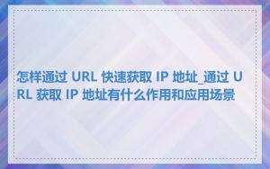 怎样通过 URL 快速获取 IP 地址_通过 URL 获取 IP 地址有什么作用和应用场景