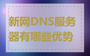 新网DNS服务器有哪些优势