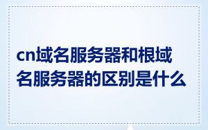 cn域名服务器和根域名服务器的区别是什么