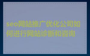 seo网站推广优化公司如何进行网站诊断和咨询
