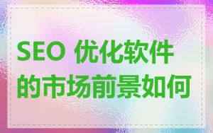 SEO 优化软件的市场前景如何