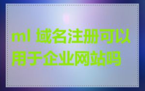 ml 域名注册可以用于企业网站吗