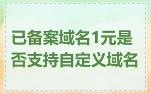 已备案域名1元是否支持自定义域名