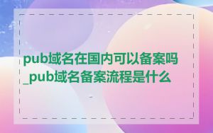 pub域名在国内可以备案吗_pub域名备案流程是什么