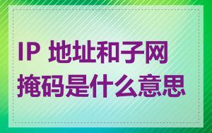 IP 地址和子网掩码是什么意思