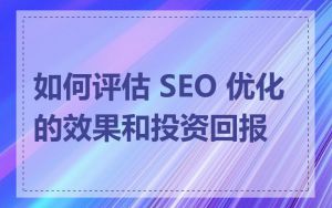 如何评估 SEO 优化的效果和投资回报