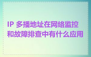 IP 多播地址在网络监控和故障排查中有什么应用
