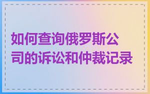 如何查询俄罗斯公司的诉讼和仲裁记录