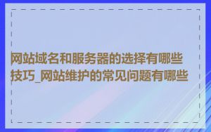 网站域名和服务器的选择有哪些技巧_网站维护的常见问题有哪些