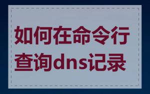 如何在命令行查询dns记录