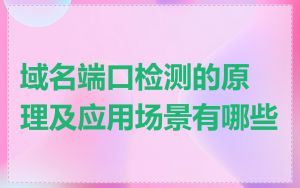 域名端口检测的原理及应用场景有哪些