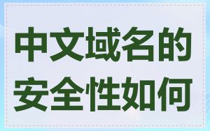 中文域名的安全性如何