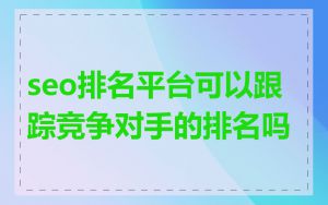seo排名平台可以跟踪竞争对手的排名吗