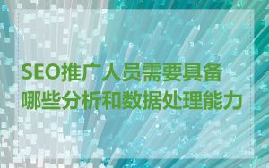 SEO推广人员需要具备哪些分析和数据处理能力