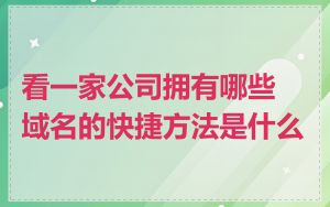 看一家公司拥有哪些域名的快捷方法是什么