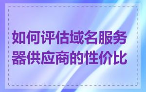 如何评估域名服务器供应商的性价比