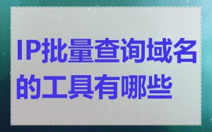 IP批量查询域名的工具有哪些