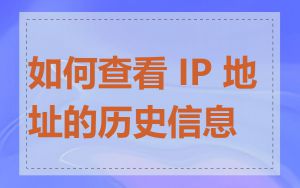 如何查看 IP 地址的历史信息