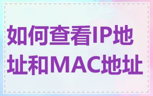 如何查看IP地址和MAC地址