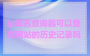 ip域名查询器可以查看网站的历史记录吗